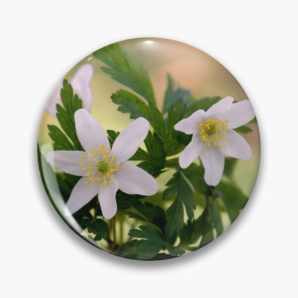 Item preview, Woodland Anemone designed and sold by JEZ22.