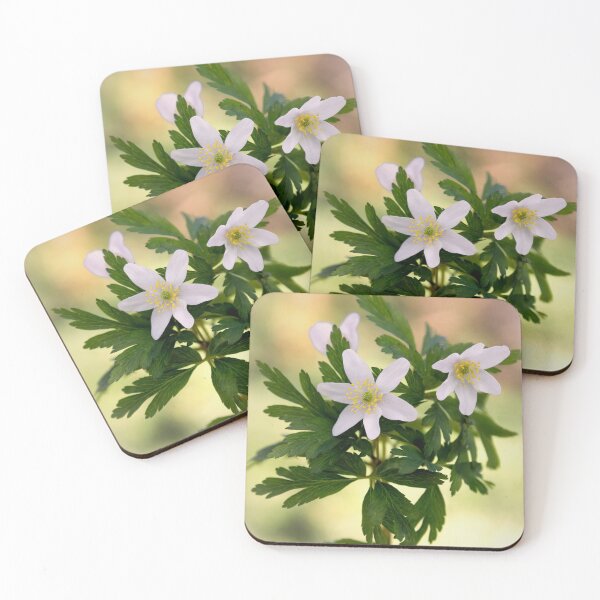 Item preview, Woodland Anemone designed and sold by JEZ22.