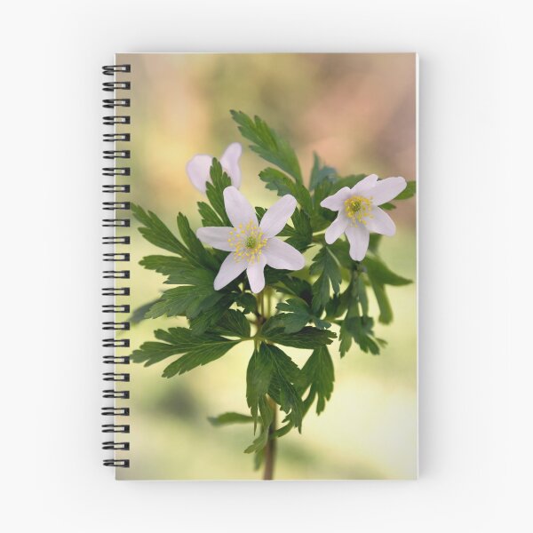 Item preview, Woodland Anemone designed and sold by JEZ22.