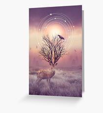 In the Stillness Greeting Card