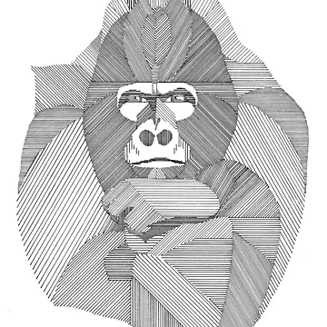 Artwork thumbnail, Go Rilla Lines by square1studio
