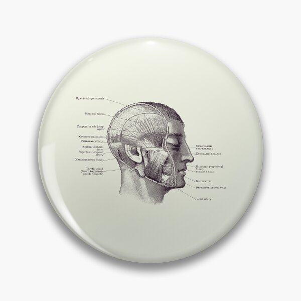 Item preview, Face Muscular Diagram 2 - Vintage Anatomy 2 designed and sold by VAposters.