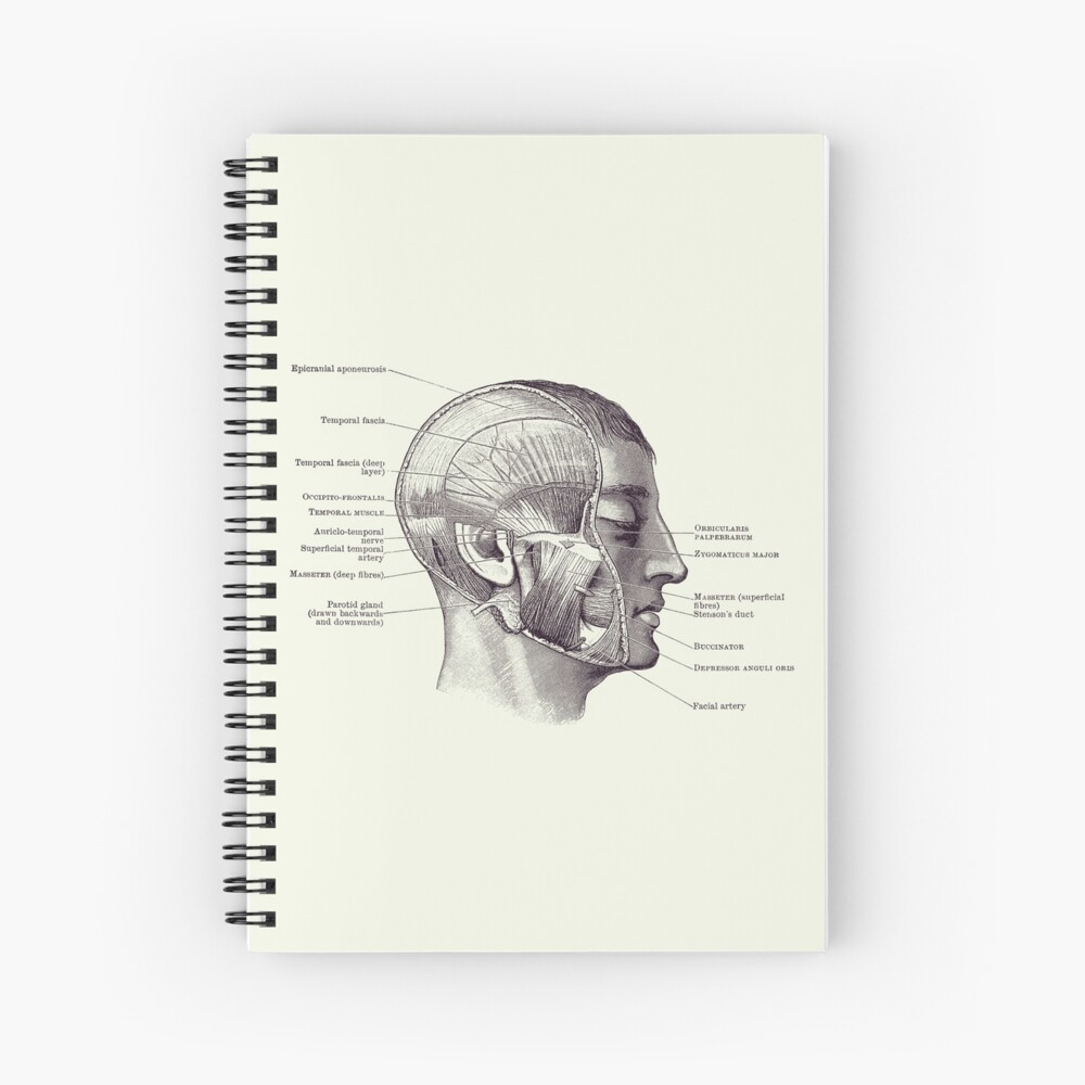 Face Muscular Diagram 2 Vintage Anatomy 2 Spiral Notebook By Vaposters Redbubble