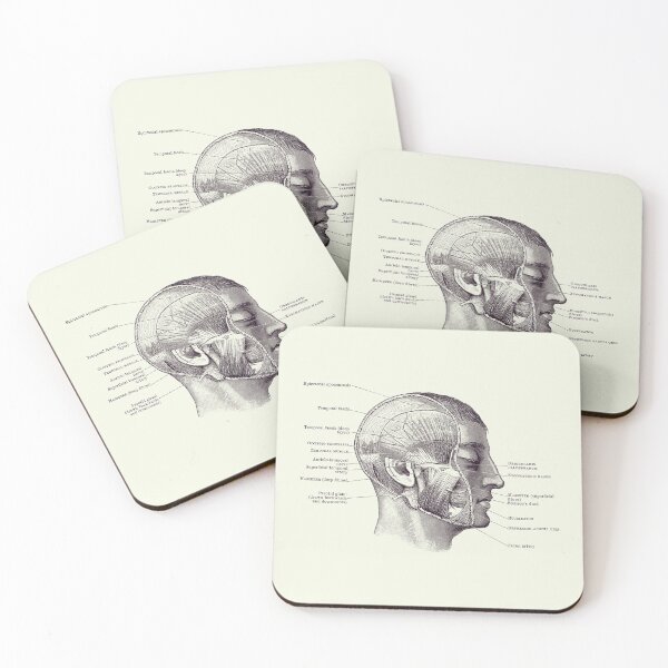 Item preview, Face Muscular Diagram 2 - Vintage Anatomy 2 designed and sold by VAposters.