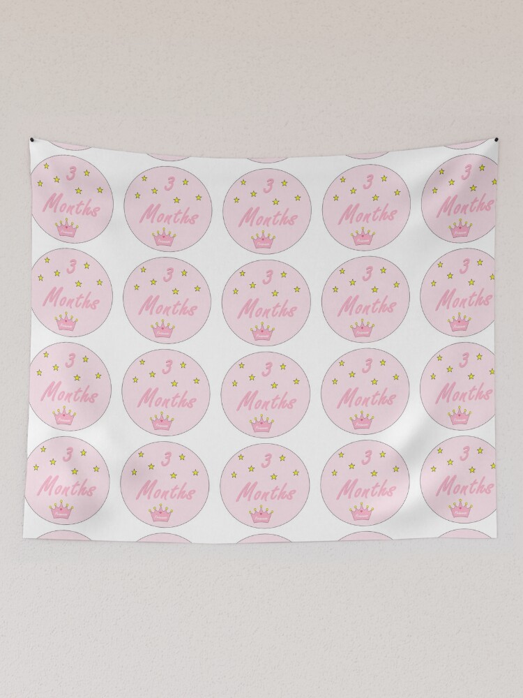 Baby Month and Milestone Stickers, Set of 28 - Floral