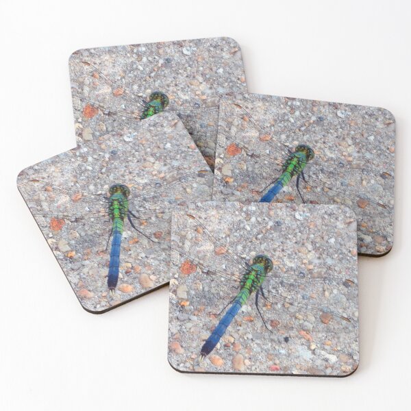 Item preview, Stay At Home Hunting The Ever Elusive Dragonfly! designed and sold by Mark Polk.