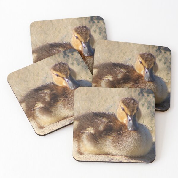 Item preview, Fuzzy Duckling designed and sold by EyeMusic.