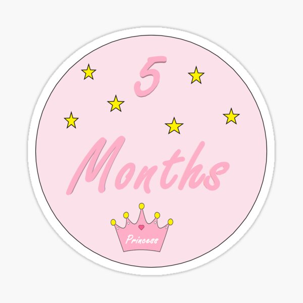 5 Months Baby Months Sticker Sticker By Superchele Redbubble