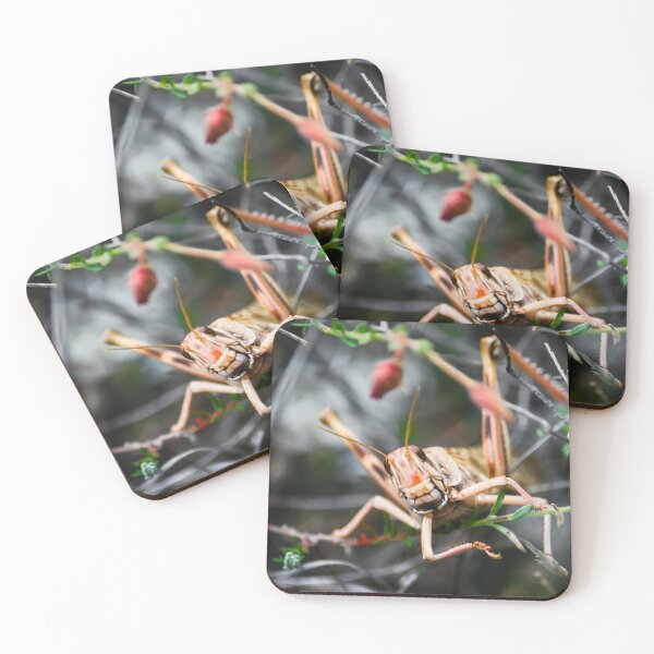 Item preview, Smiling Grasshopper  designed and sold by Vienewi.
