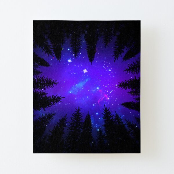 Magical Forest Galaxy Night Sky Canvas Mounted Print
