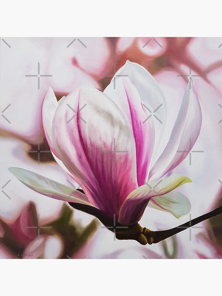Magnolia - spring blossom in pink by EmilyBickell