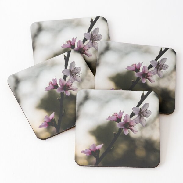Item preview, D Lawson Photography - Peach Blossoms  designed and sold by Danielle Lawson.