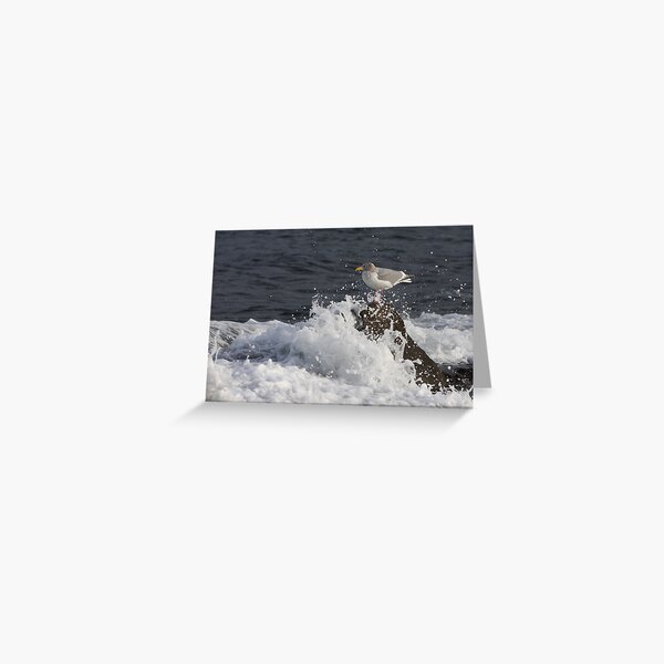 tenacity Greeting Card