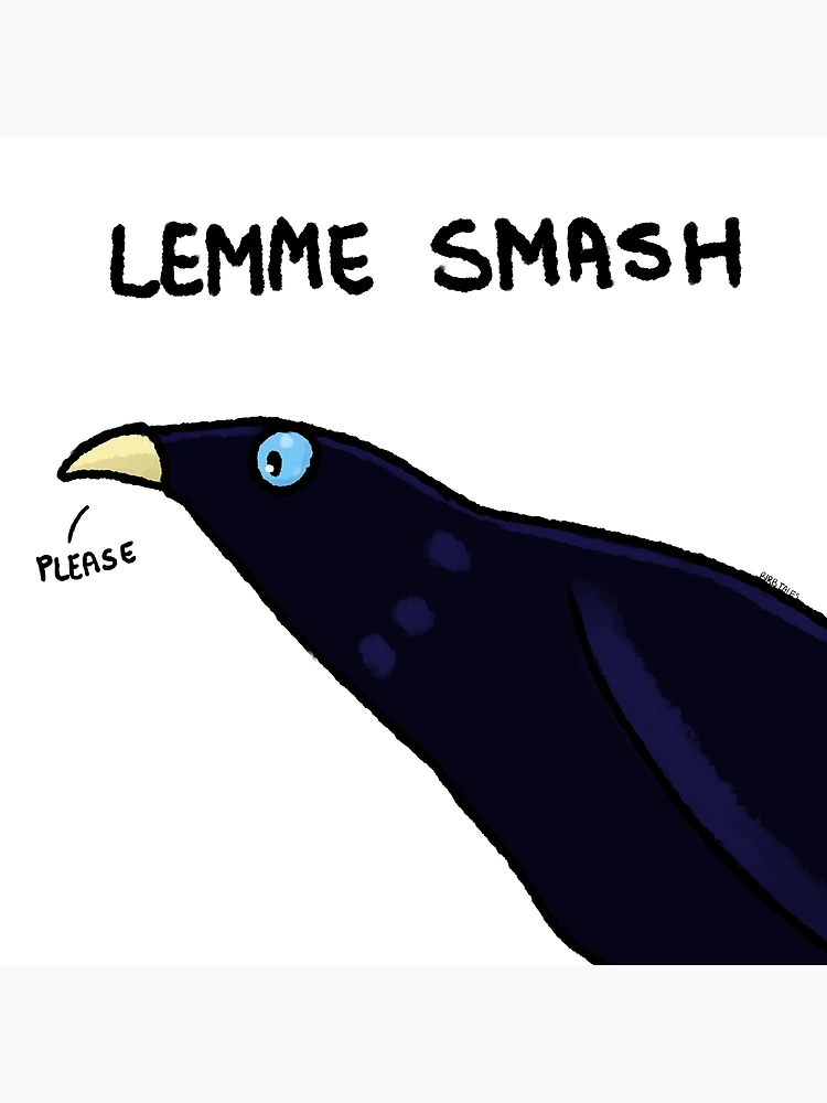 What is mean: lemme smash? Answer, plz:)