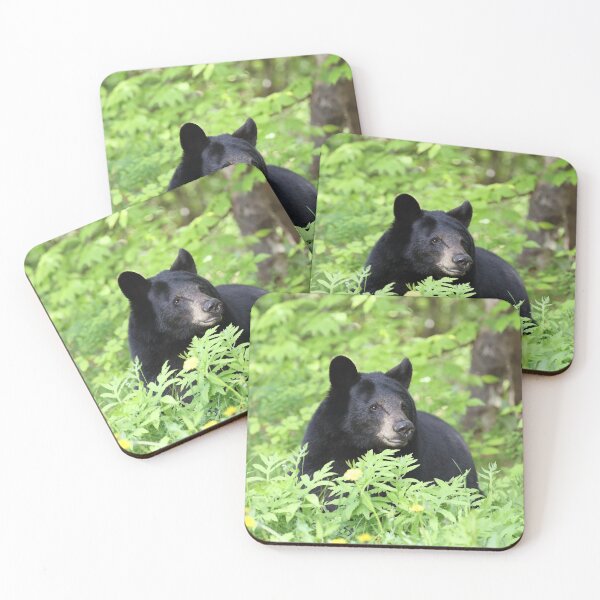 Item preview, Black Bear designed and sold by mlorenz.