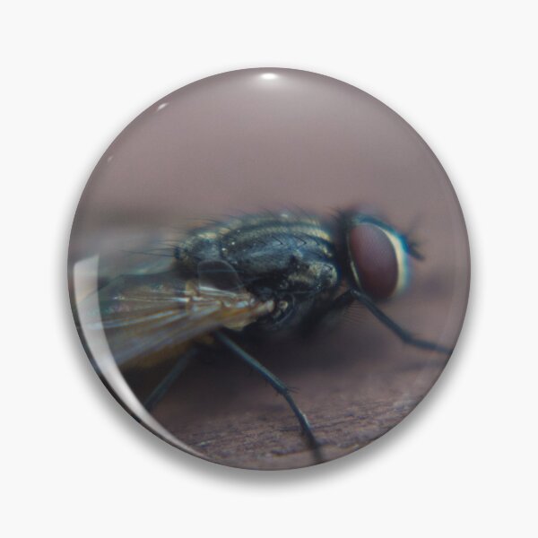 Item preview, Macro Shot Of A Fly On A Picnic Table. designed and sold by JmanInABox.