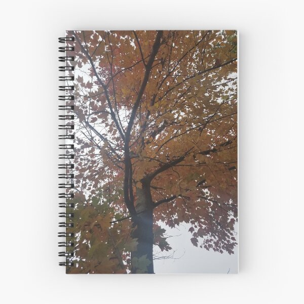 Item preview, Autumn Tree designed and sold by Spectrum Perspectives.