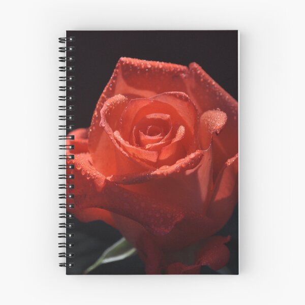 Item preview, RED ROSE NAMED MISS ELEGANCE designed and sold by JAYMILO.