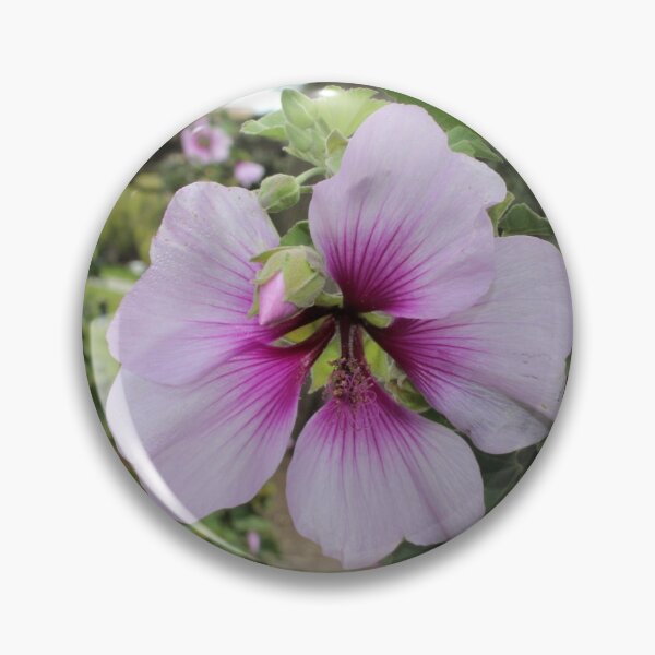 Item preview, Beautiful Ombre Flowers designed and sold by Emily Hermann.