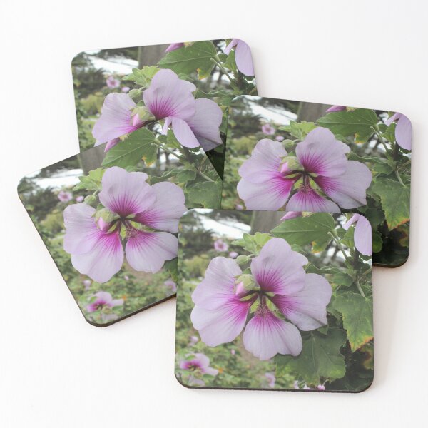 Item preview, Beautiful Ombre Flowers designed and sold by Emily Hermann.