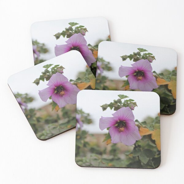 Item preview, Beautiful Ombre Flower pt.2 designed and sold by Emily Hermann.
