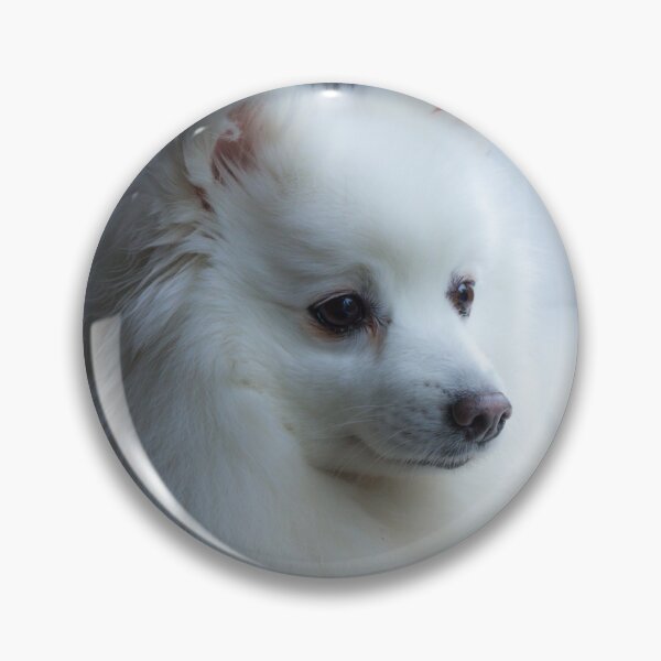 Item preview, Alert Japanese Spitz  designed and sold by KarenWoodArt.