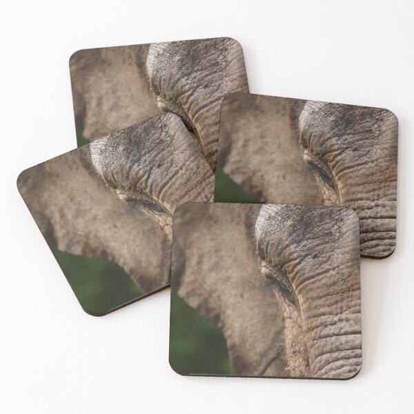 Item preview, Asian Elephant designed and sold by damnrightmyfoto.