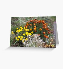 Bright colourful garden flowers Greeting Card