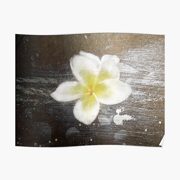 textured flower Poster