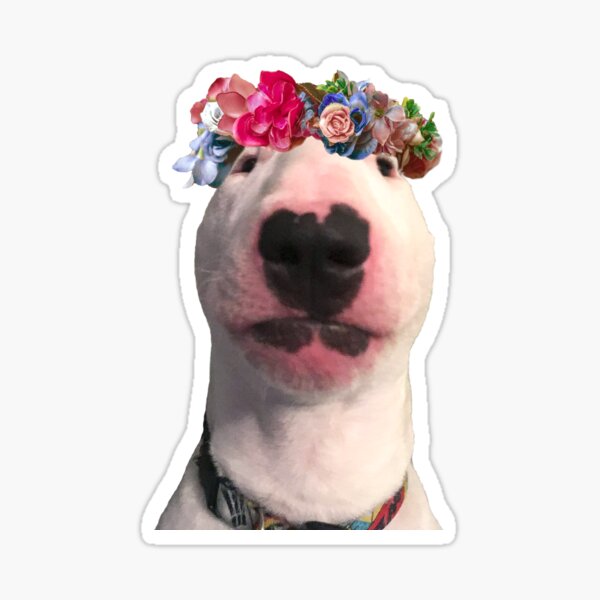 Item preview, @PupperNelson: Flower Child designed and sold by PupperNelson.