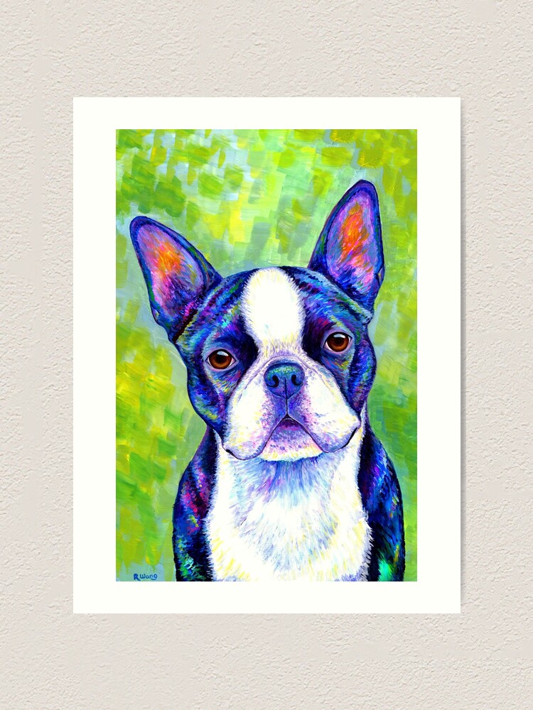 Alternate view of Effervescent - Colorful Boston Terrier Dog Art Print