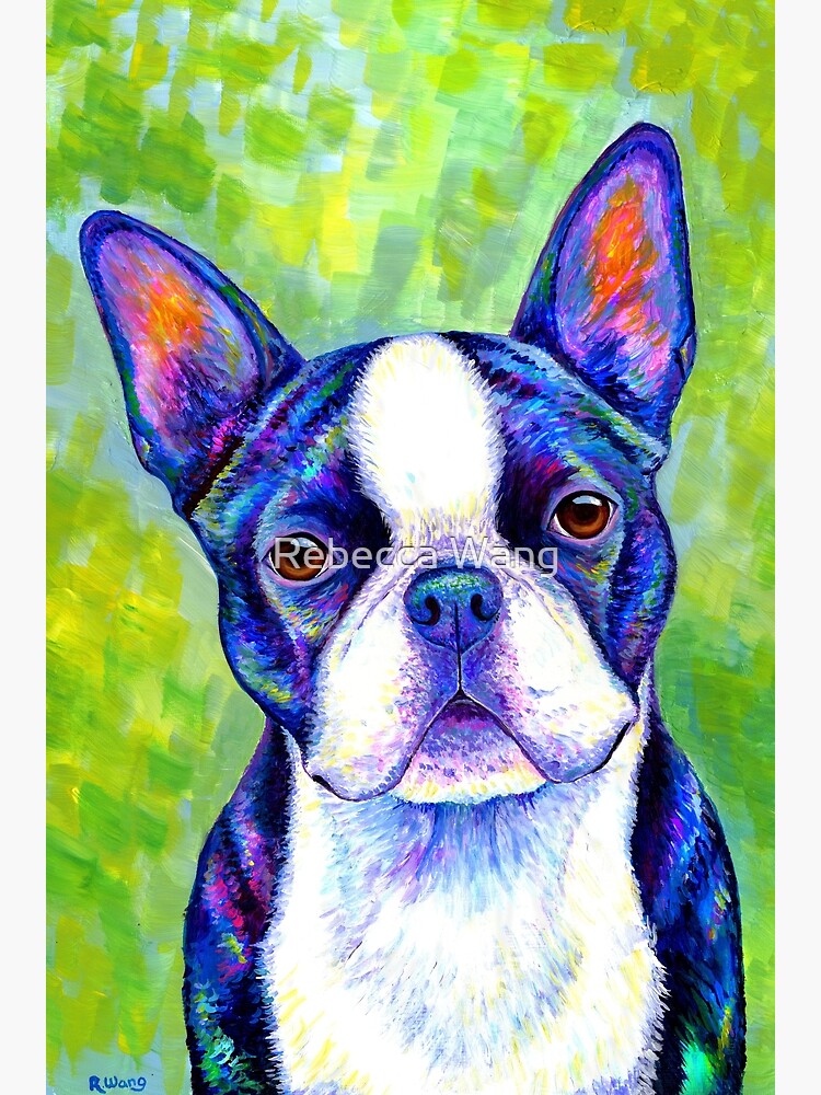 Effervescent - Colorful Boston Terrier Dog by lioncrusher