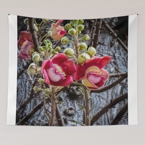 Item preview, Cannonball Tree Blossom designed and sold by darren-j-mcleod.