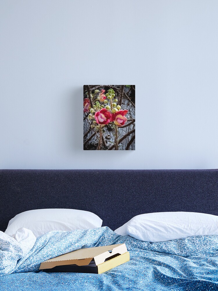 Thumbnail 2 of 3, Canvas Print, Cannonball Tree Blossom designed and sold by darren-j-mcleod.