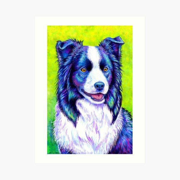 Watchful Eye - Colorful Border Collie Dog Art Print