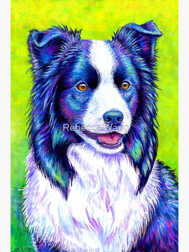 Watchful Eye - Colorful Border Collie Dog by lioncrusher