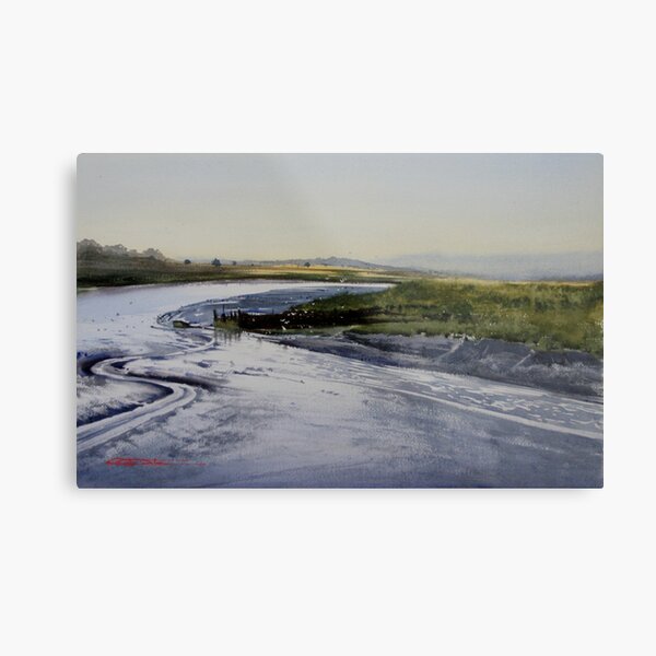 Tidal Life - Tamar Island Metal Print