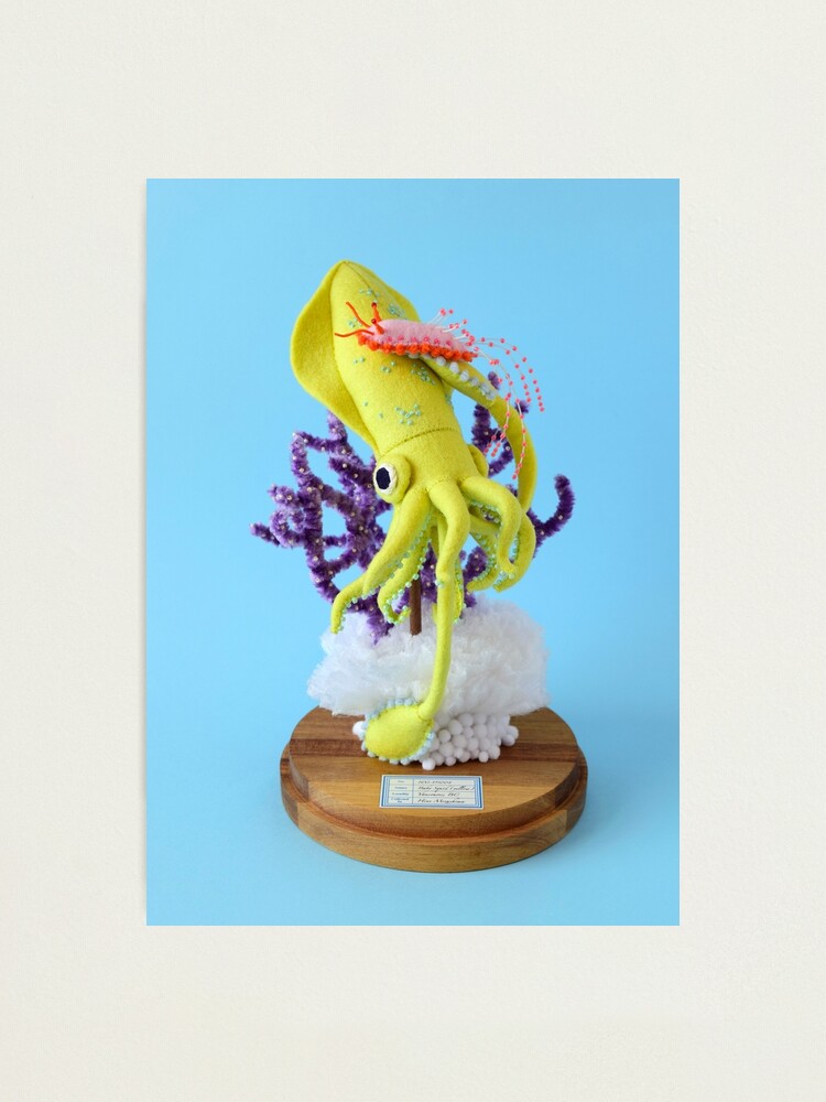Alternate view of Baby Squid & Long-tailed Sea Slug Photographic Print