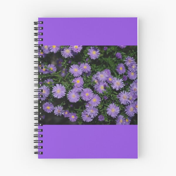 Item preview, Aster designed and sold by Deborah Singer.