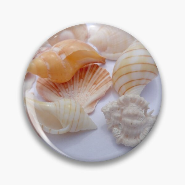 Item preview, Sea Shells by Orikall designed and sold by HippieWorks.