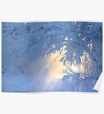 Door to another world Poster