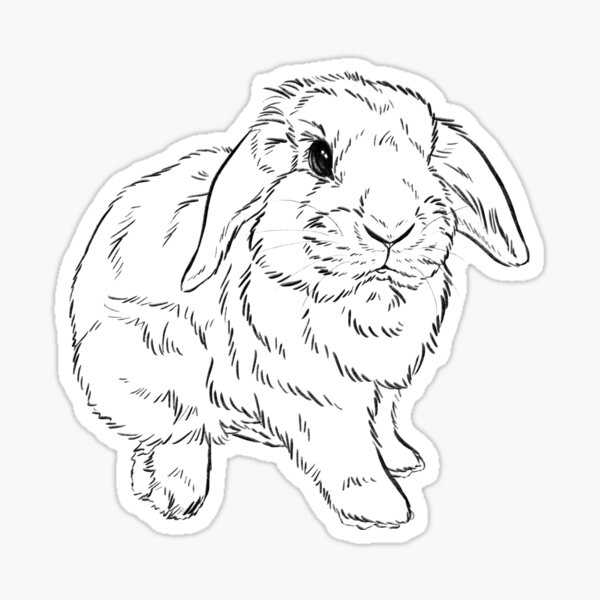 Item preview, Lop Bunny designed and sold by Firlefanzzz.