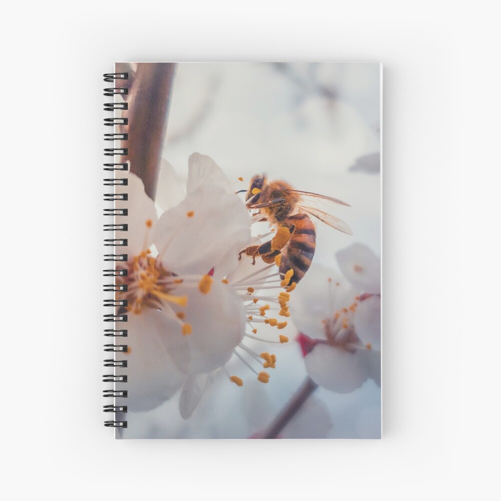 honey bee on apricot flowers Spiral Notebook