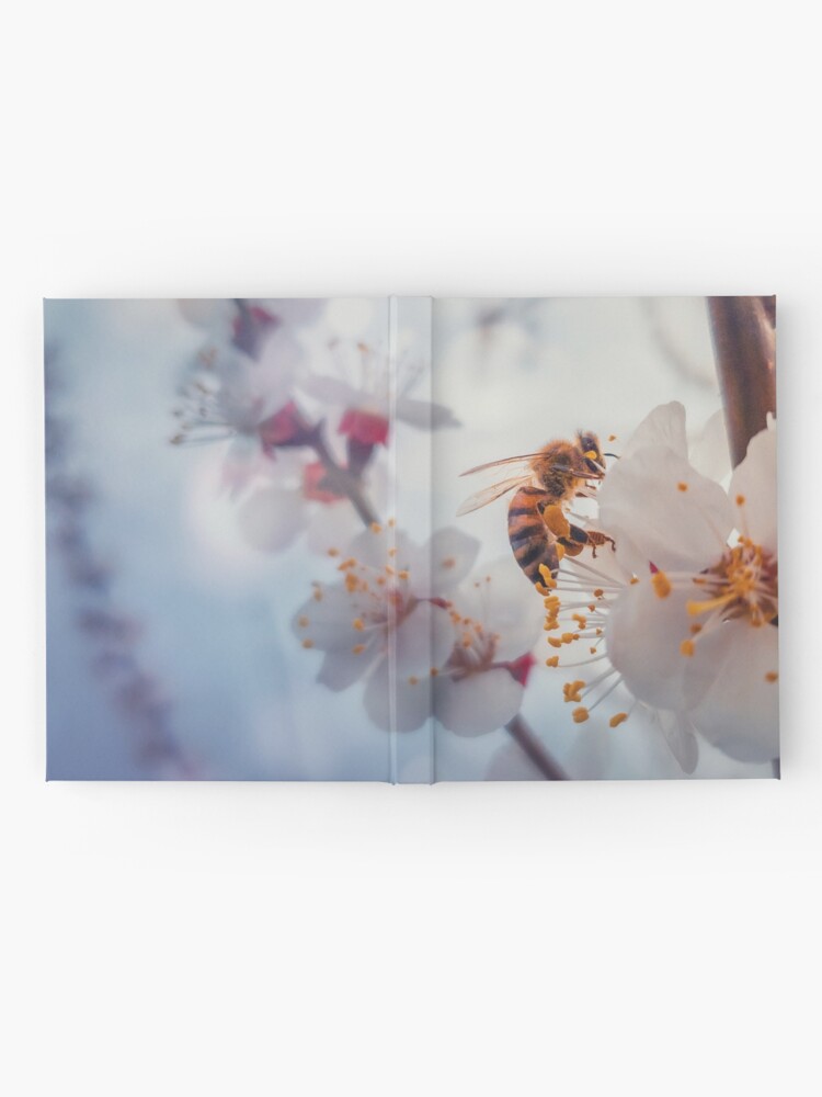 Alternate view of honey bee on apricot flowers Hardcover Journal