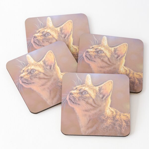 Item preview, Little Kitty designed and sold by DVJPhotography.