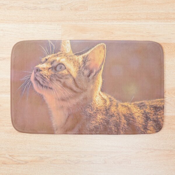 Item preview, Little Kitty designed and sold by DVJPhotography.