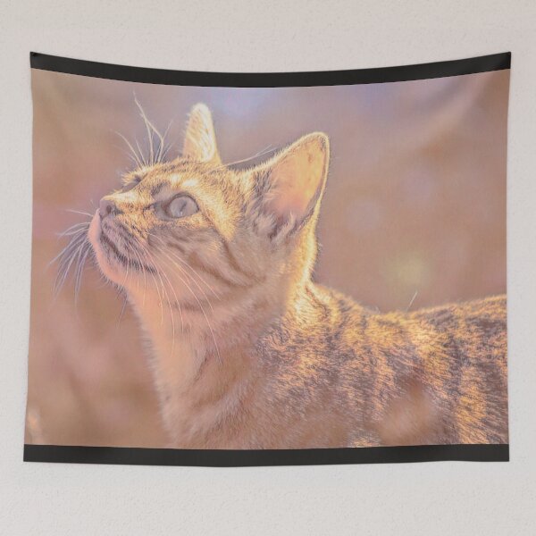 Item preview, Little Kitty designed and sold by DVJPhotography.