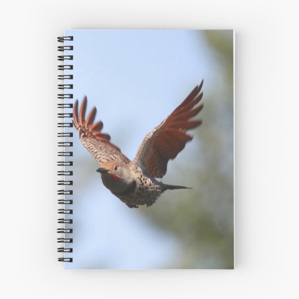 Item preview, Flying Flikka designed and sold by Penwortham.