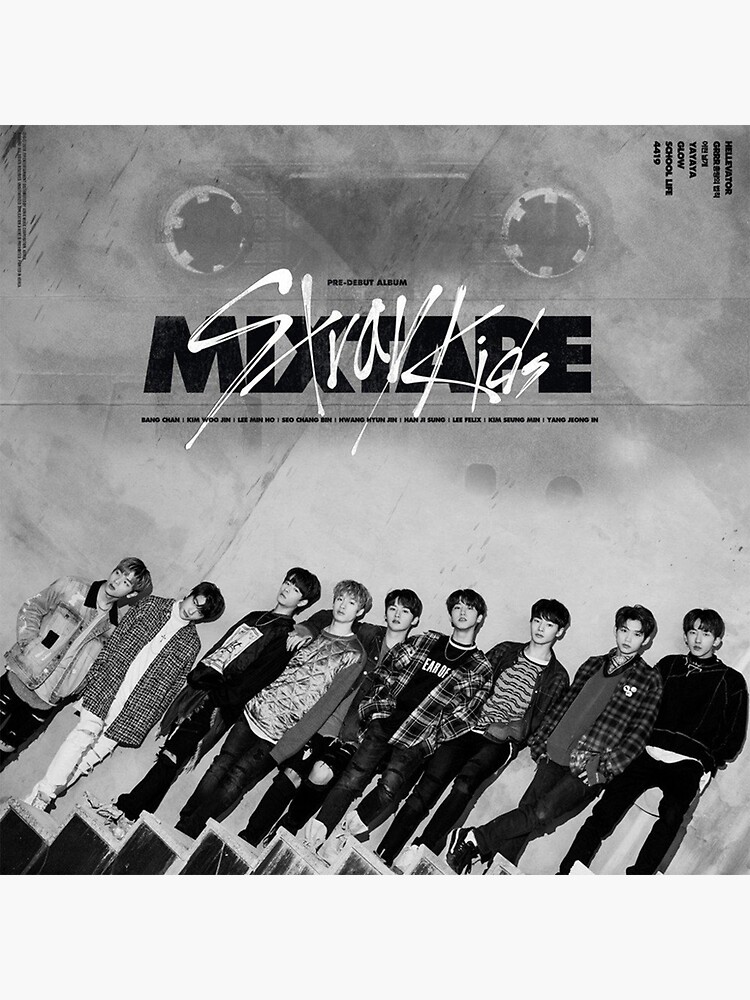 Stray Kids - MAXIDENT Mini Album (Case Version) – Seoul-Mate