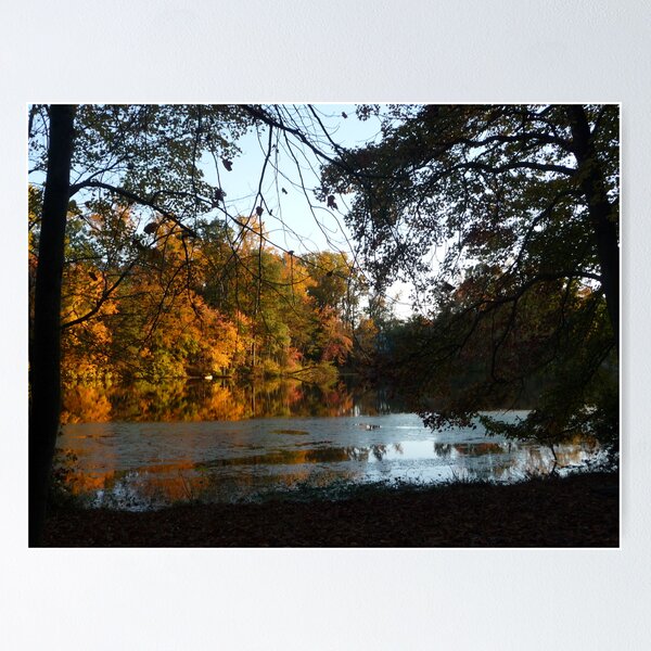 Artikelvorschau, Autumn on Greenbelt Lake 6 entworfen und verkauft von nealbarnett.